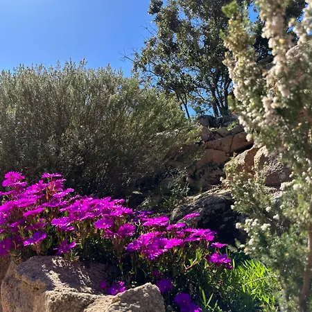 Casa Di Paoli Lejlighedshotel 3*