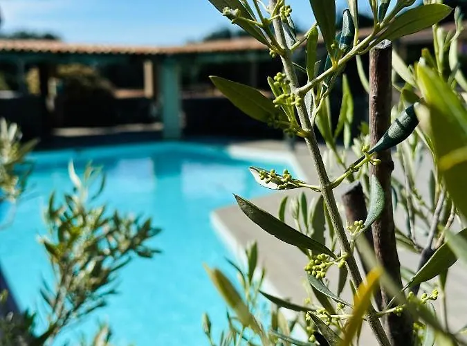 شقة فندقية Casa Di Paoli 3*